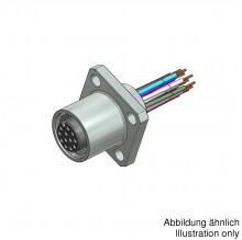 CONEC-43-02088 圆形连接器 Female Socket, Brass, Nickel, Gold Plated