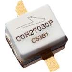 WOLFSPEED, INC-CGH27030P HF-MOSFETs Trans RF MOSFET N-CH 120V 3A 3-Pin Case 440196