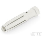 T2030032040-000