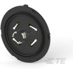 Lumawise Endurance N+ 7P Base