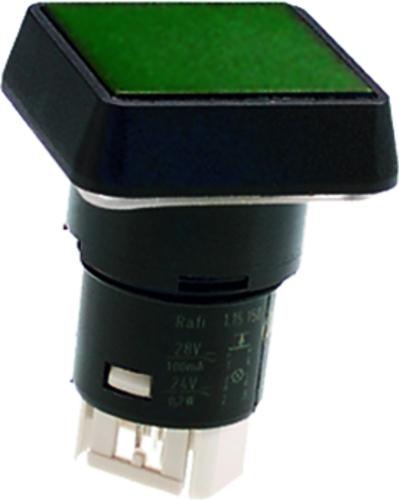 RAFI GmbH & Co. KG-1.15.150.556/0000 Schalterzubehör Switch Access Square Operator Push Button Switch Box