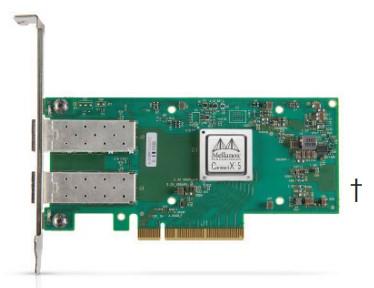 NVIDIA-MCX515A-CCUT Network Interface Cards Network Interface Card 100GbE
