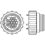 Conn Circular SKT 16 POS ST Panel Mount 16 Terminal 1 Port Bag