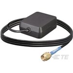 Antenna with Termination SMA