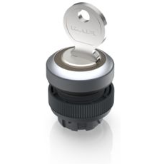 RAFI GmbH & Co. KG-1.30.245.302/0000 Schalterzubehör Switch Access Round Operator Keylock Switch Box