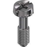 Weidmuller-1029510000 Accesorios del conector Heavy-duty connectors, Accessories, Mounting screw