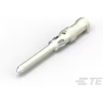 T2020001015-000