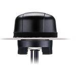 Antenna Cellular 2.5dBi Gain Automotive