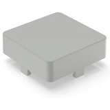 RAFI GmbH & Co. KG-5.46.681.001/0514 Schalterzubehör Switch Access Square Lens Push Button Switch