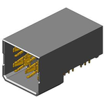 10061289-001LF 10061289-001LF