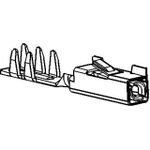 Tang Terminal F Gold