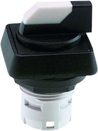 RAFI GmbH & Co. KG-1.30.073.600/0200 Schalterzubehör Switch Access Square Operator Selector Switch Box