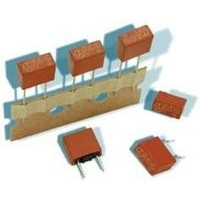 Littelfuse-95011600000 Fusibles Fuse Protective Slow Blow Acting 1.6A 250V Radial 8.5 X 4 X 8mm Thermoplastic Ammo