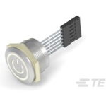 Anti-Vandal Illuminated Capacitive Switches