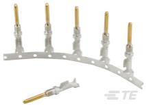 TE Connectivity-1924463-1 Steckverbinder, Kontakt PIN CONTACT AU PLATED