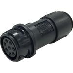 PXP4011/04P/4550 PXP4011/04P/4550