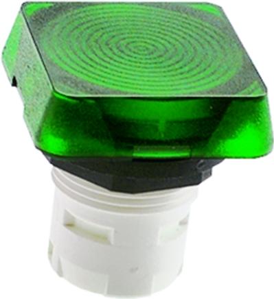 RAFI GmbH & Co. KG-1.65.124.101/0000 Schalterzubehör Switch Access Round Mushroom Operator Emergency Stop Switch