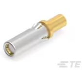 TE Connectivity-202417-1 Contact de raccordement Contact SKT 12 Size Crimp ST Cable Mount 12-14AWG Bag