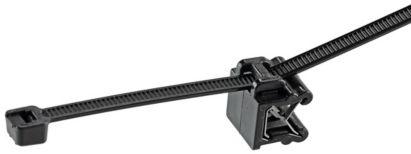 CMSA242SC300|PANDUIT|originalImage