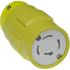 1301420019|MOLEX|simage
