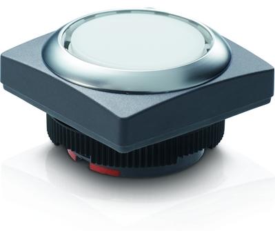 RAFI GmbH & Co. KG-1.30.270.961/2207 Schalterzubehör Switch Access Square Operator Push Button Switch Box