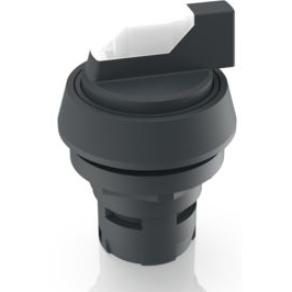 RAFI GmbH & Co. KG-1.30.073.720/0200 Schalterzubehör Switch Access Round Operator Selector Switch