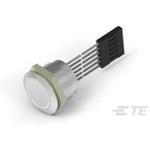 Anti-Vandal Illuminated Capacitive Switch