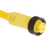 Cable Assembly Circular 6.1m 16AWG Mini Change 3 Straight