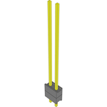 DW-02-19-T-S-200