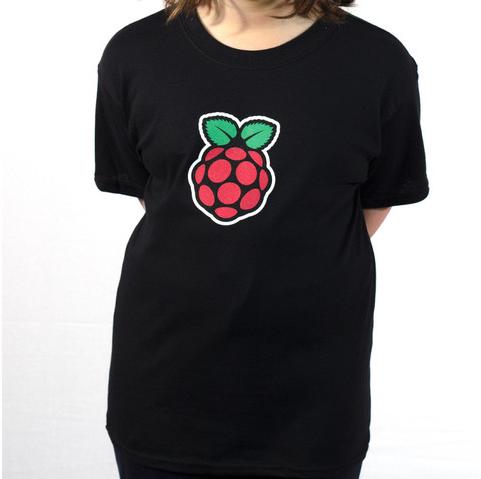 Adafruit Industries-1421 Verschiedene Produkte Raspberry Pi Logo T-Shirt - Kids Medium