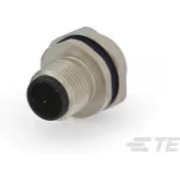 TE Connectivity-T4171210502-001 Andere Kabelbaugruppen M12,FRONT MOUNTING,MALE,D,2P,0.2M WIRE