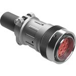 AHDM062416PN059|AMPHENOL|limage