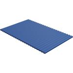 Flat Ribbon Cable Fluorinated Ethylene Propylene 24Conductors 28AWG 300VAC Blue/Blue 3.04m Temp-Flex Spool