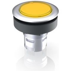 RAFI GmbH & Co. KG-1.30.090.012/1400 Schalterzubehör Switch Access Round Operator Push Button Switch Box