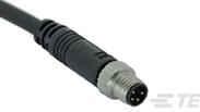 TE Connectivity-1838288-1 其他电缆组件 M8/M12 Connector System for Sensor