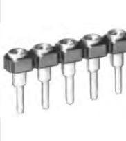 Fischer Elektronik-MK LP 19/02/G Steckverbinderleisten und Leiterplattenbuchsen Conn Socket Strip SKT 2 POS 2.54mm Solder ST Top Entry Thru-Hole