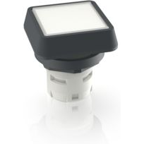 RAFI GmbH & Co. KG-1.30.070.001/1002 Schalterzubehör Switch Access Square Operator Push Button Switch Box