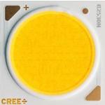 LED Uni-Color White 2-Pin COB Tray