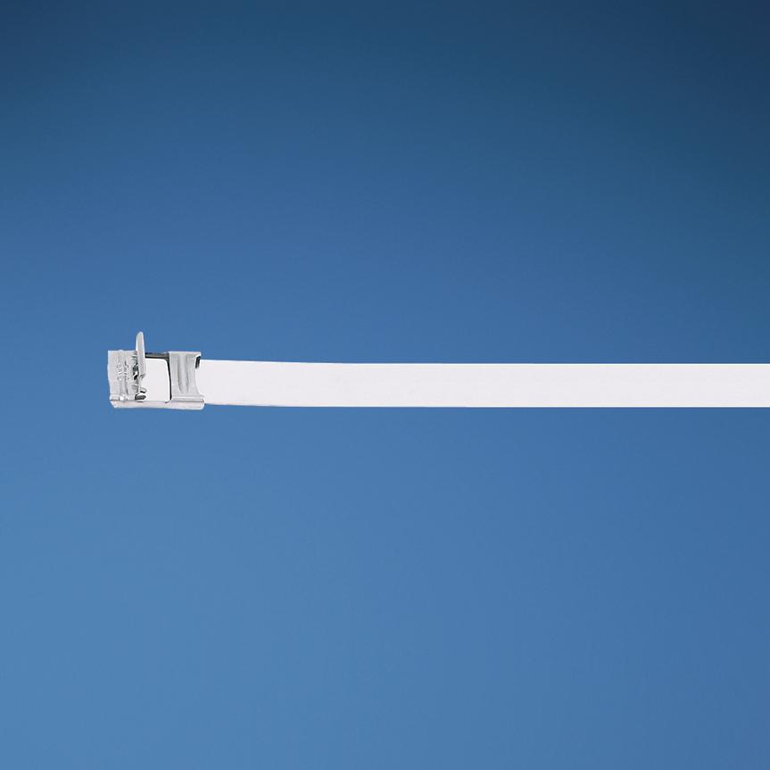 Panduit-MS6W63T15-L4 Accessoires de câble Cable Accessories Strap Stainless Steel Natural