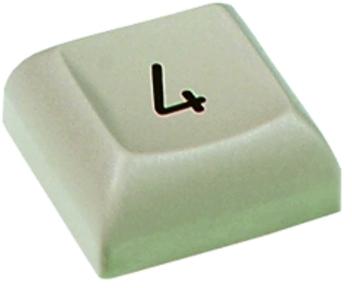 RAFI GmbH & Co. KG-5.00.999.827/0000 Schalterzubehör Switch Access Key Cap Key Switch
