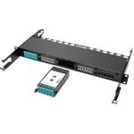 Tripp Lite-N482-1M24-LC12 Fiber Management Systems 100GB/120GB TO 10GB BREAKOUT CASSETTE - 24-FIBER MTP/MPO TO (X12) LC HIGH DENSITY FIBER CASSETTE