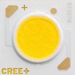 LED Uni-Color White 2-Pin COB Tray